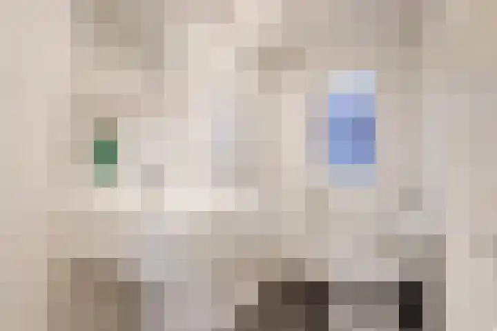 Immenweg 15 R 344 Lunteren thumbnail 15