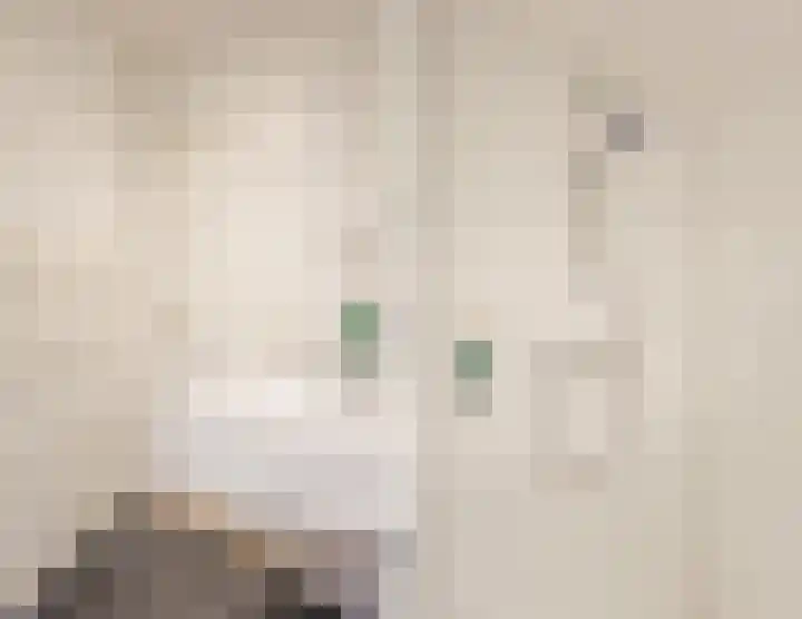Immenweg 15 R 344 Lunteren thumbnail 16