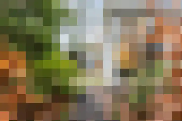 Immenweg 15 R 344 Lunteren thumbnail 17