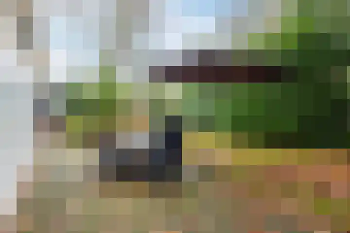 Immenweg 15 R 344 Lunteren thumbnail 19