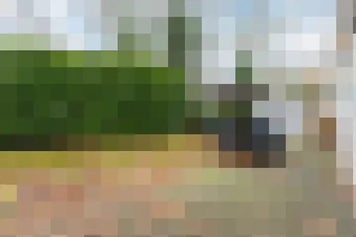 Immenweg 15 R 344 Lunteren thumbnail 20