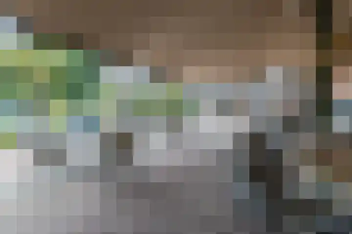 Immenweg 15 R 344 Lunteren thumbnail 21