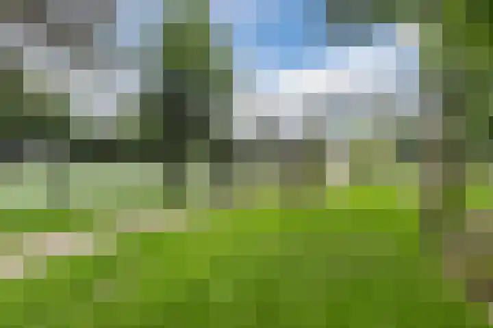 Immenweg 15 R 344 Lunteren thumbnail 24
