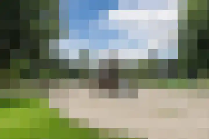 Immenweg 15 R 344 Lunteren thumbnail 25