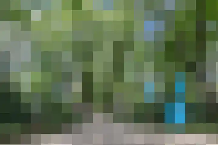 Immenweg 15 R 344 Lunteren thumbnail 26