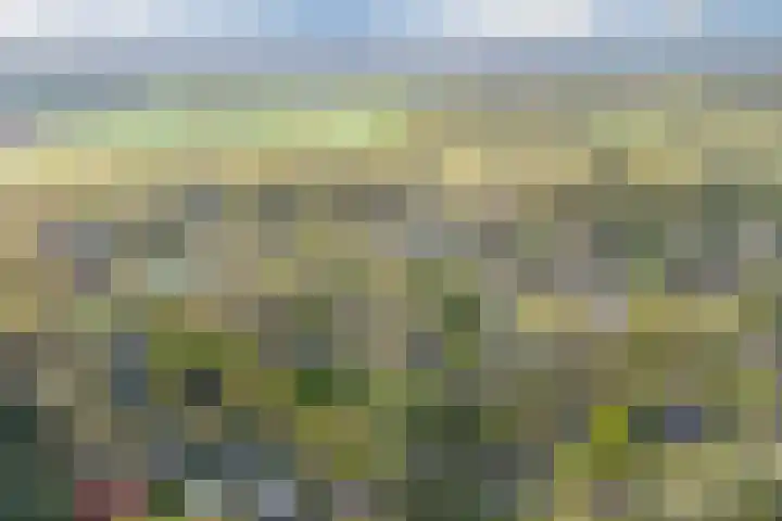 Immenweg 15 R 344 Lunteren thumbnail 28