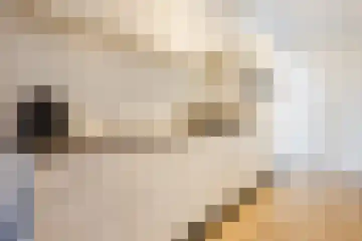 Immenweg 15 R 344 Lunteren thumbnail 8