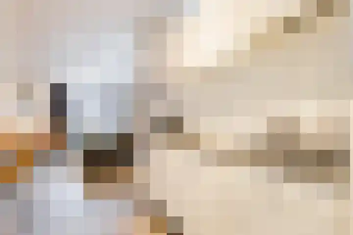 Immenweg 15 R 344 Lunteren thumbnail 9