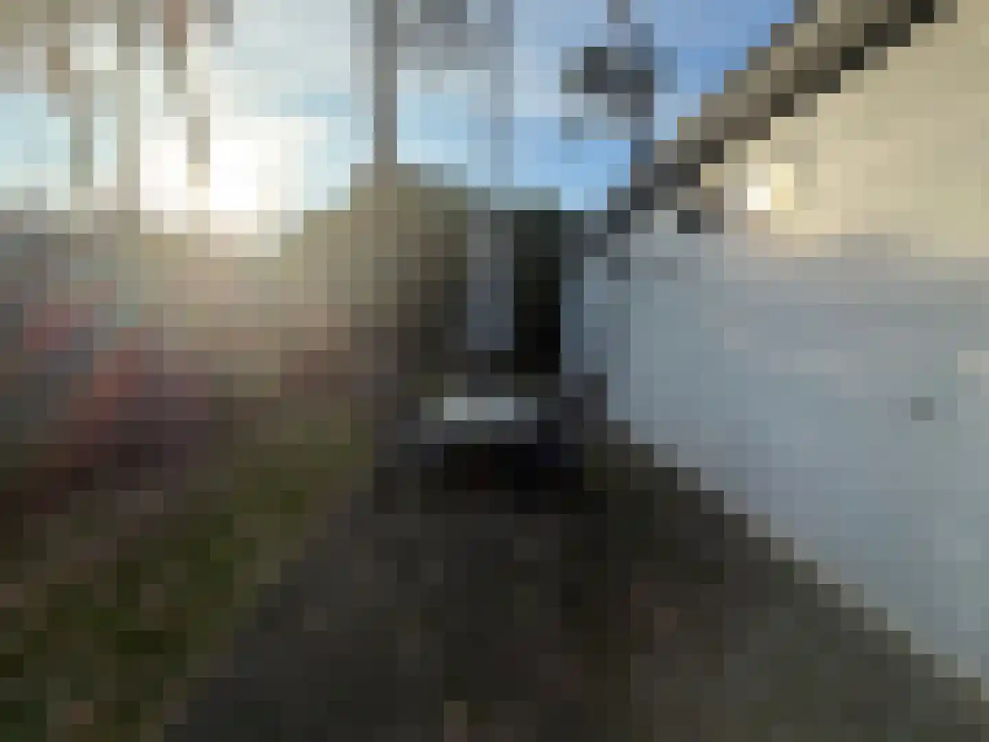 Immenweg 15 R 355 Lunteren thumbnail 13