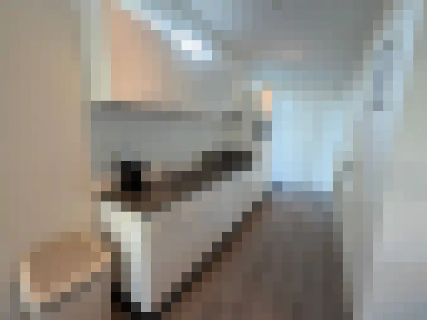 Immenweg 15 R 355 Lunteren thumbnail 6