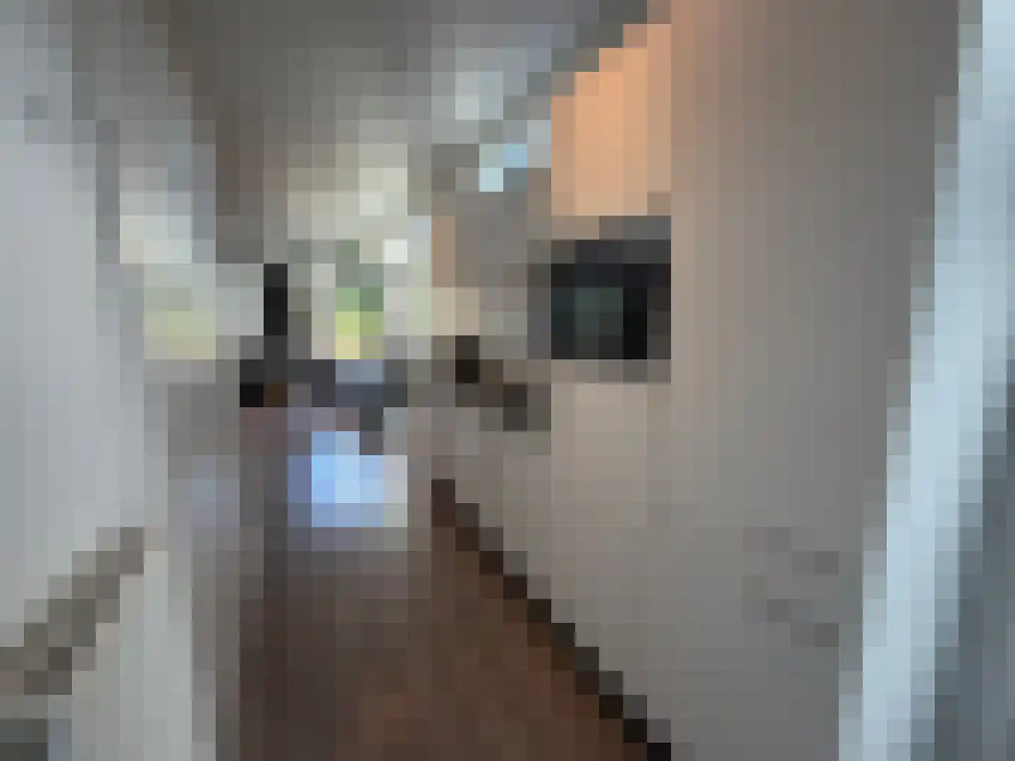 Immenweg 15 R 355 Lunteren thumbnail 7