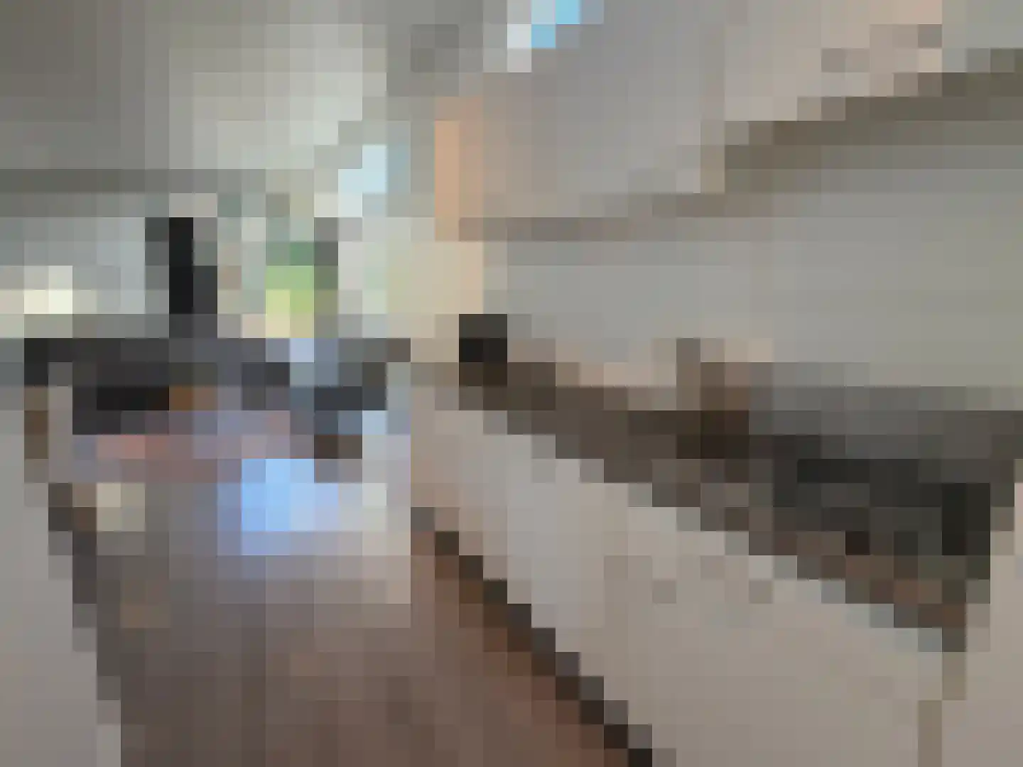 Immenweg 15 R 355 Lunteren thumbnail 8