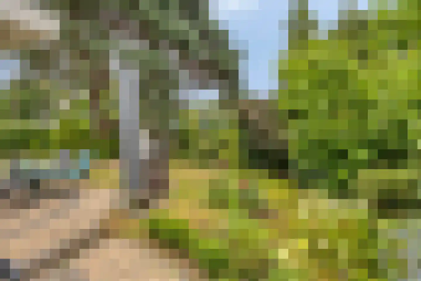 Immenweg 15 R 374 Lunteren thumbnail 21
