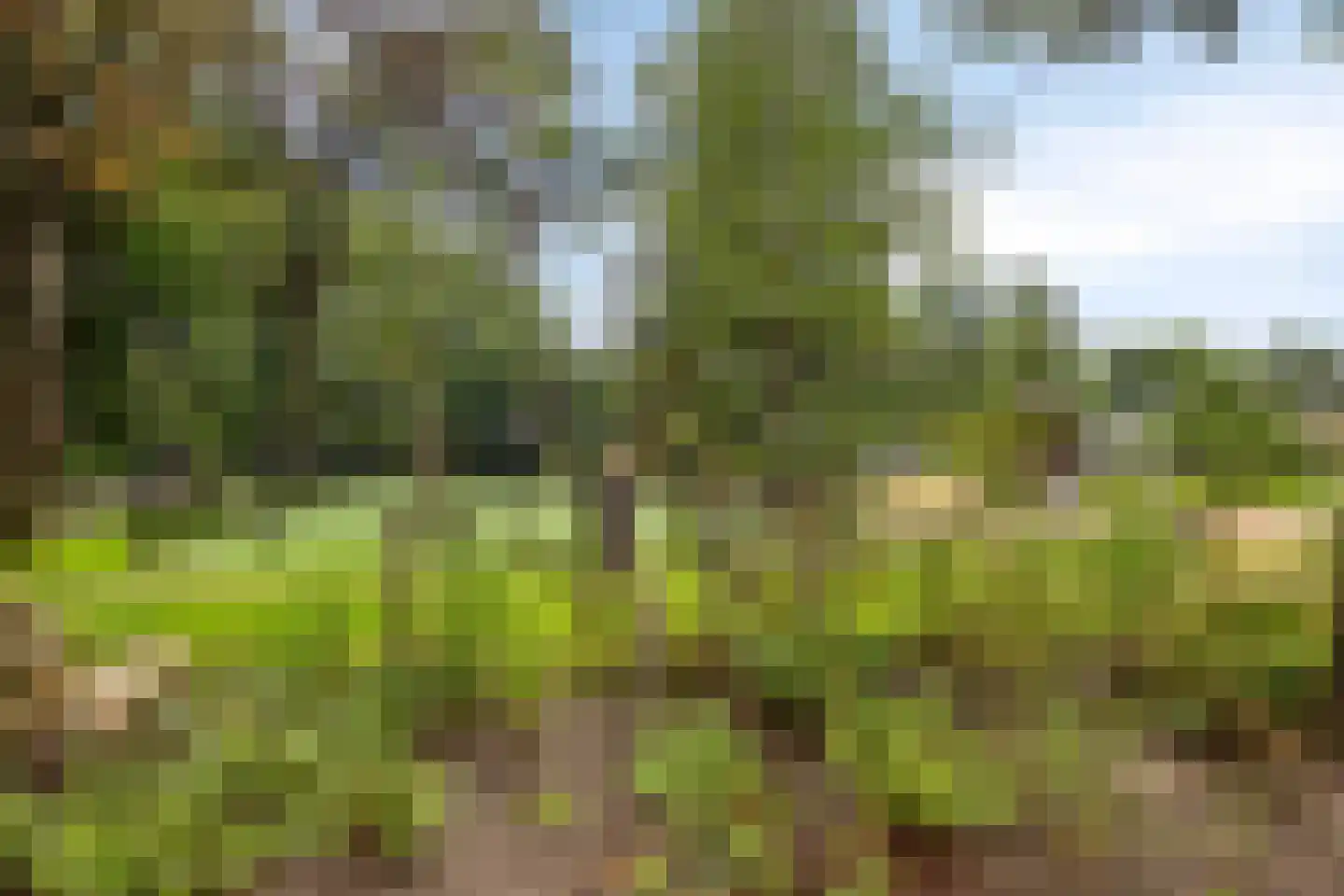 Immenweg 15 R 374 Lunteren thumbnail 27