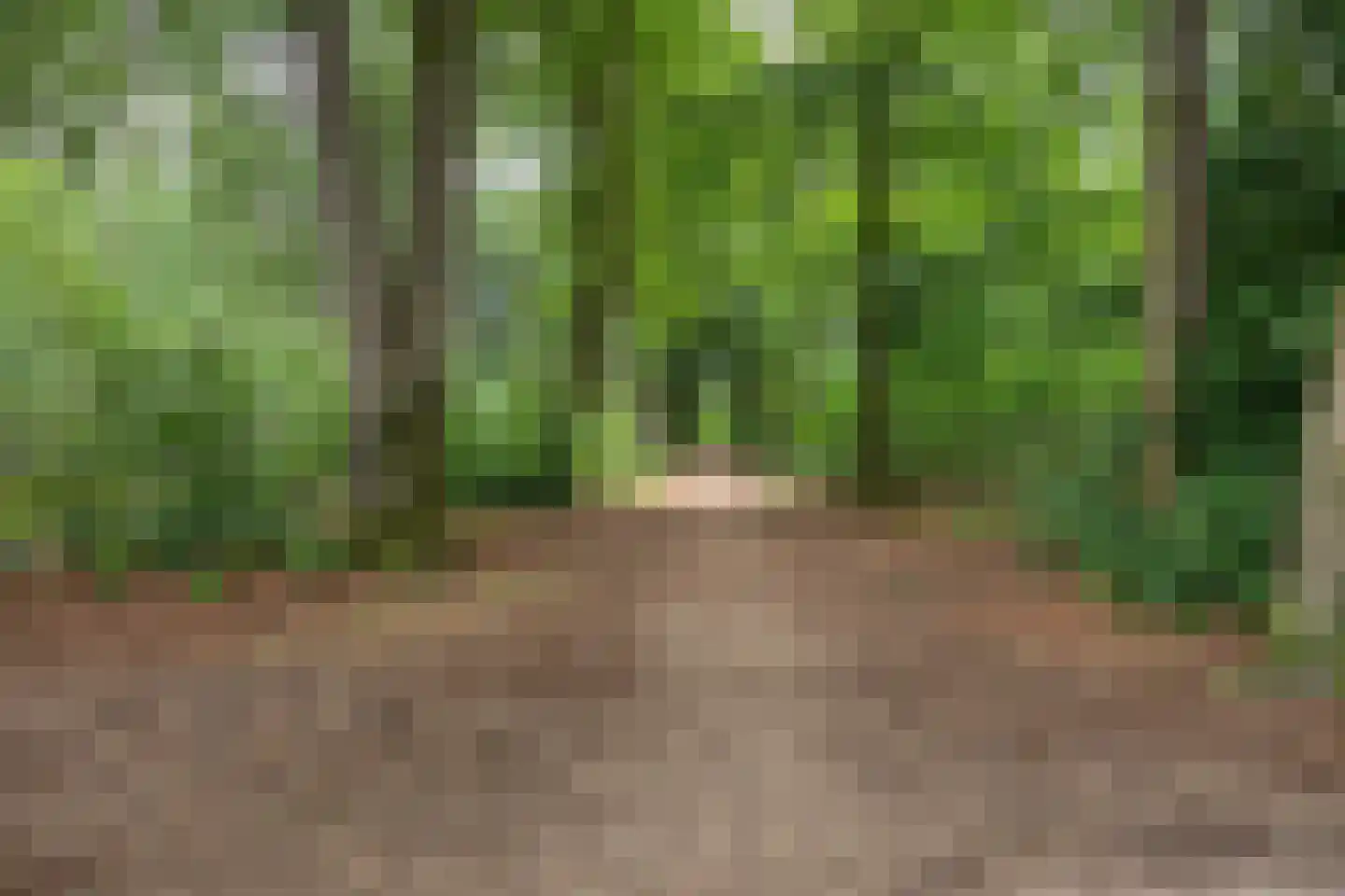 Immenweg 15 R 374 Lunteren thumbnail 28