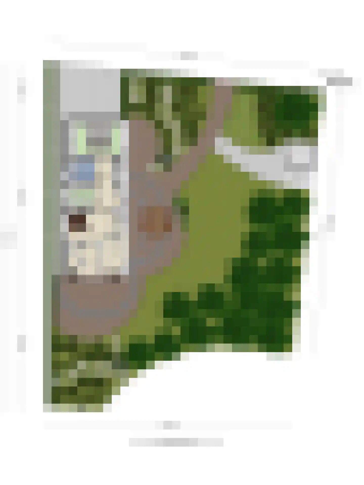Immenweg 15 R 374 Lunteren thumbnail 30