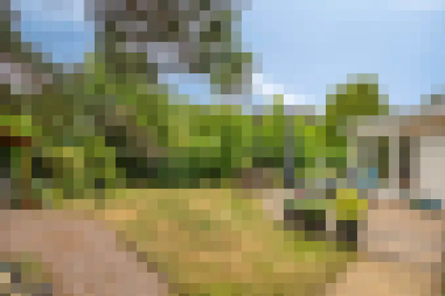 Immenweg 15 R 374 Lunteren thumbnail 4