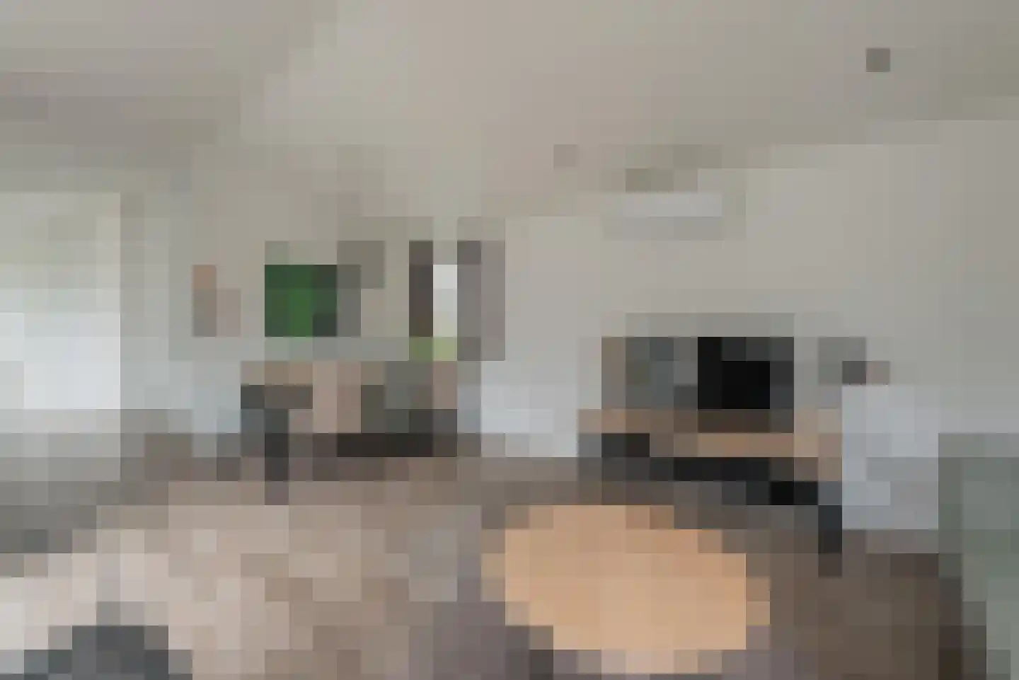 Immenweg 15 R 605 Lunteren thumbnail 12