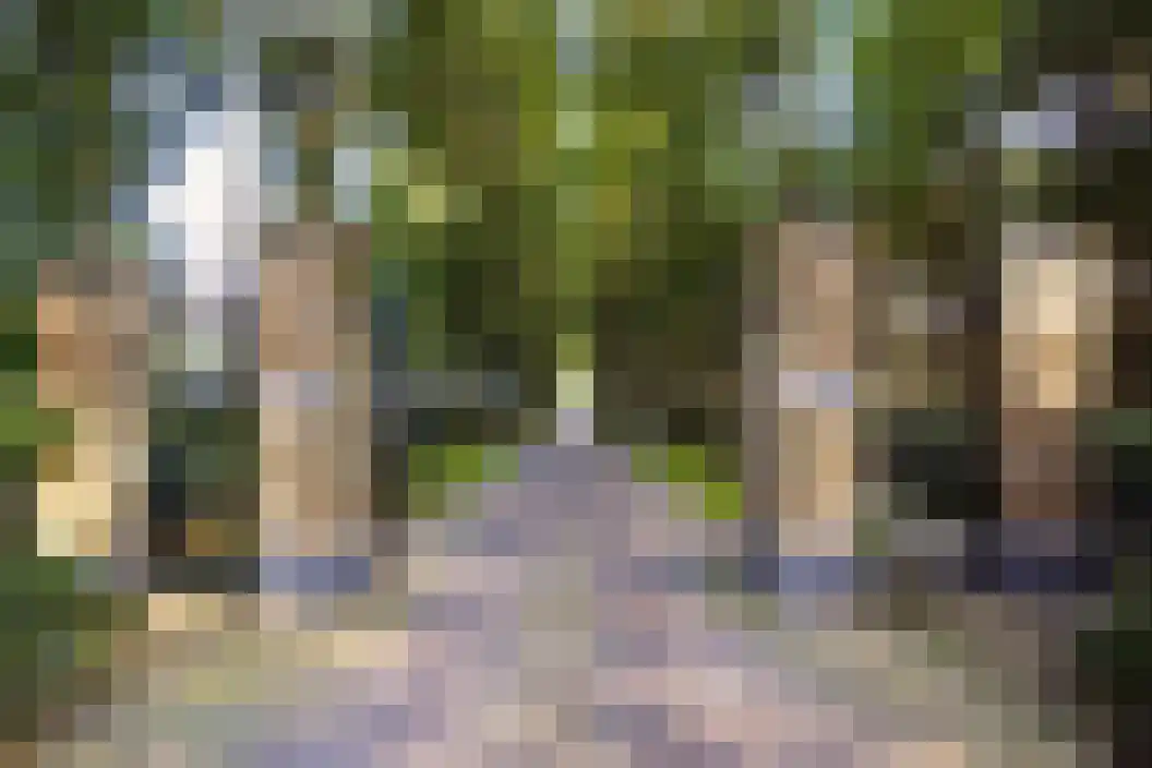Immenweg 15 R 608 Lunteren thumbnail 15