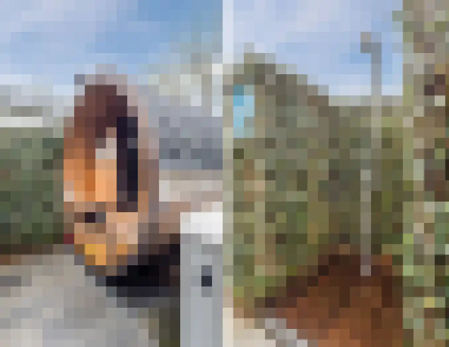 Immenweg 15 R 623 Lunteren thumbnail 23