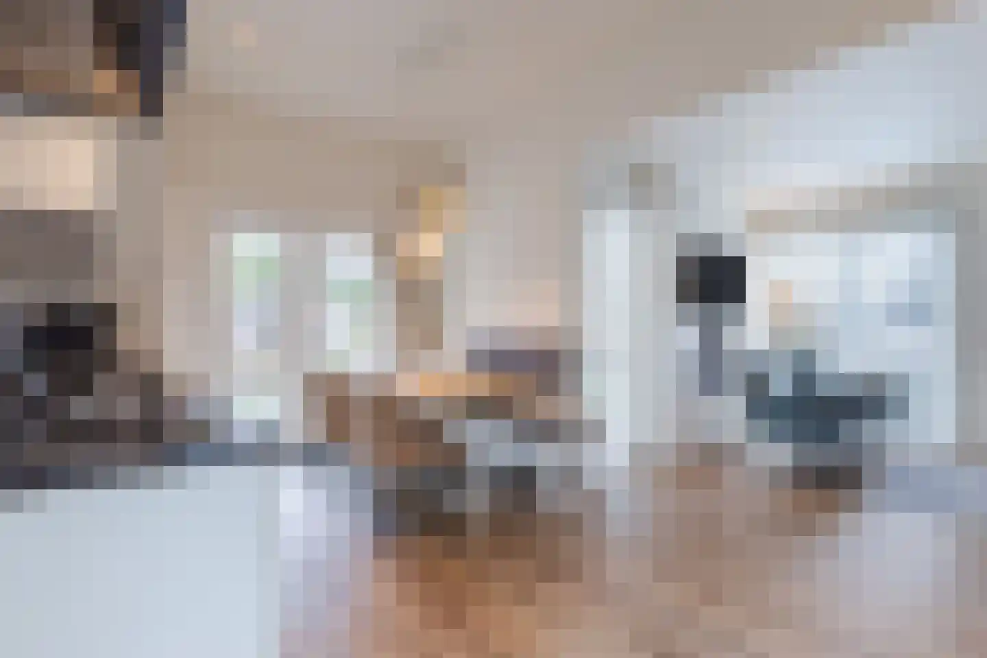 Immenweg 15 R 623 Lunteren thumbnail 4