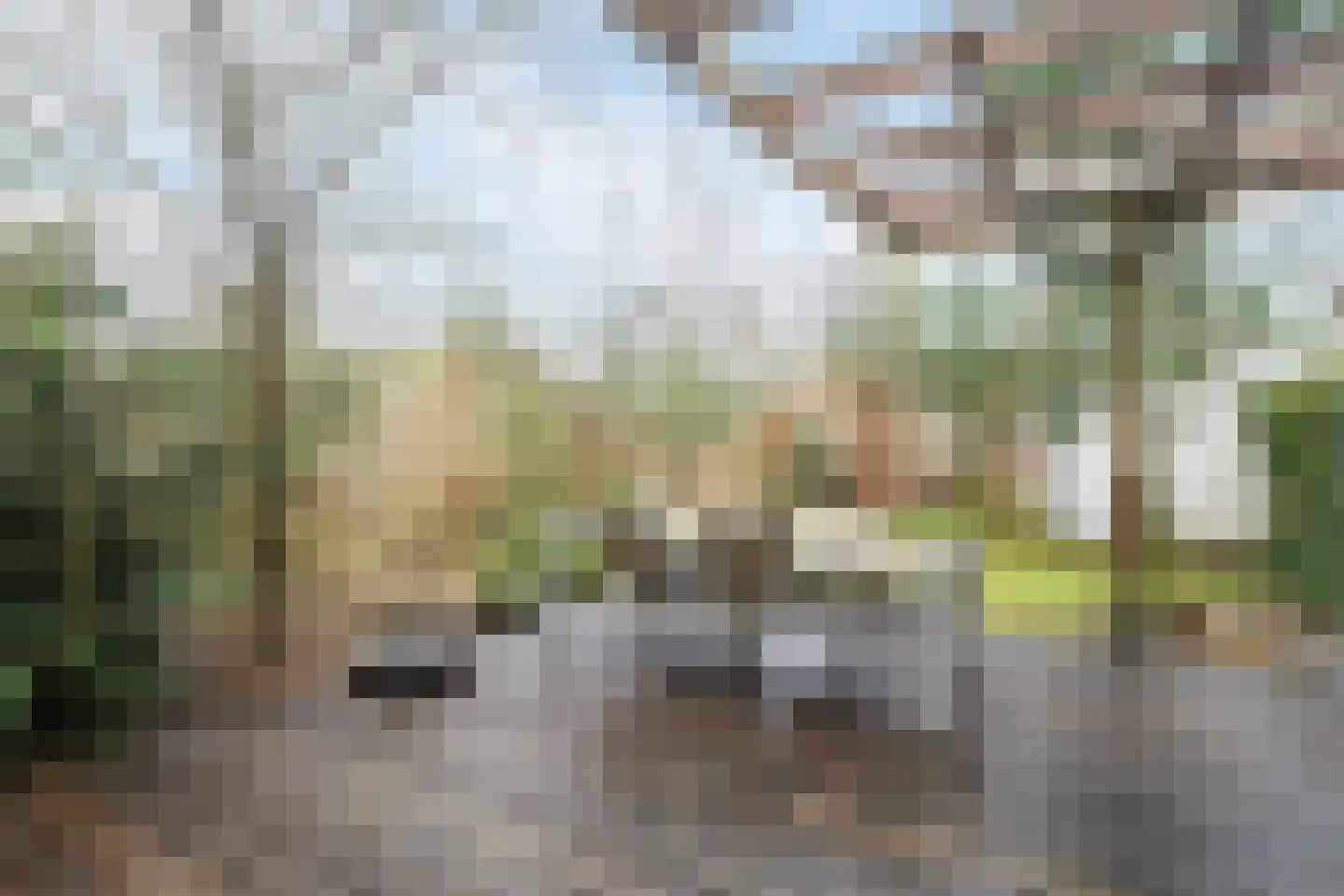 Immenweg 15 R 625 Lunteren thumbnail 27