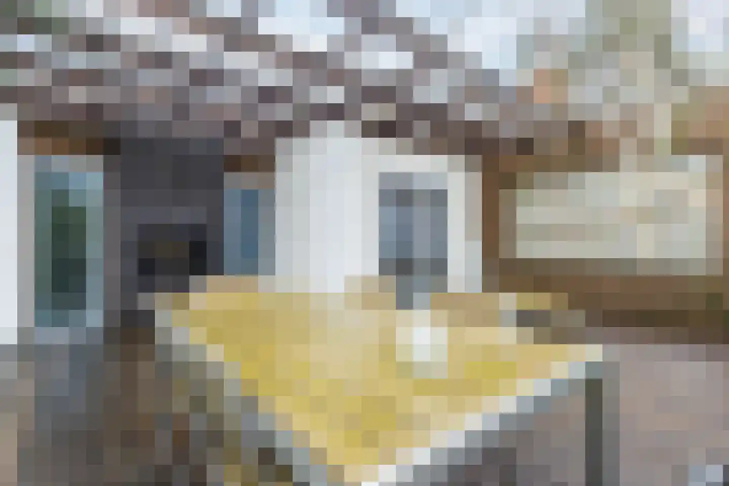 Immenweg 15 R 625 Lunteren thumbnail 29