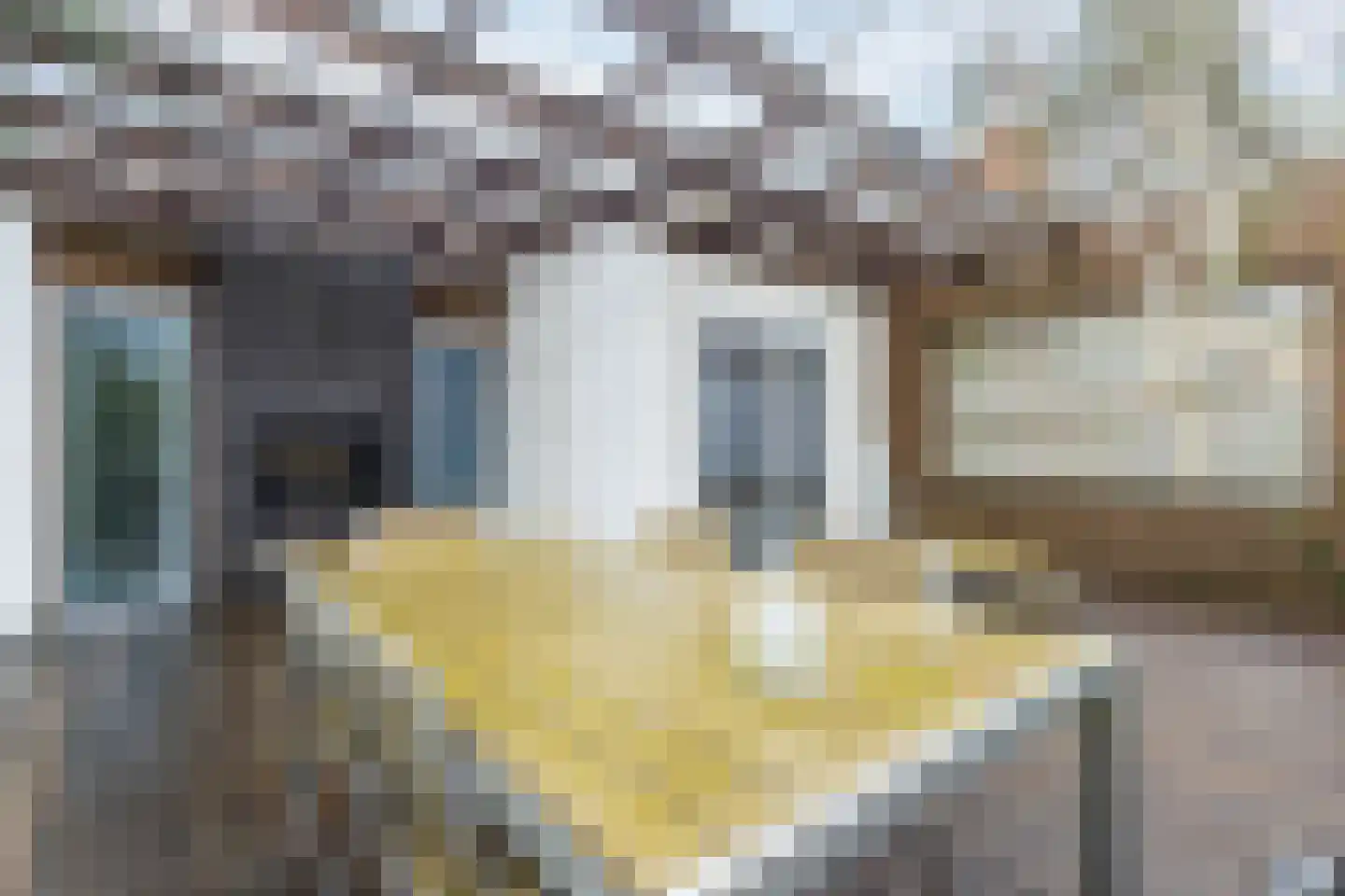 Immenweg 15 R 625 Lunteren thumbnail 29