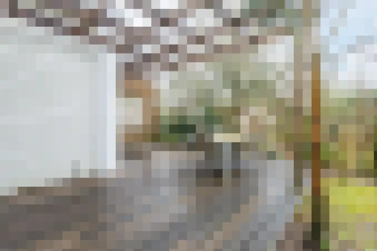 Immenweg 15 R 625 Lunteren thumbnail 30