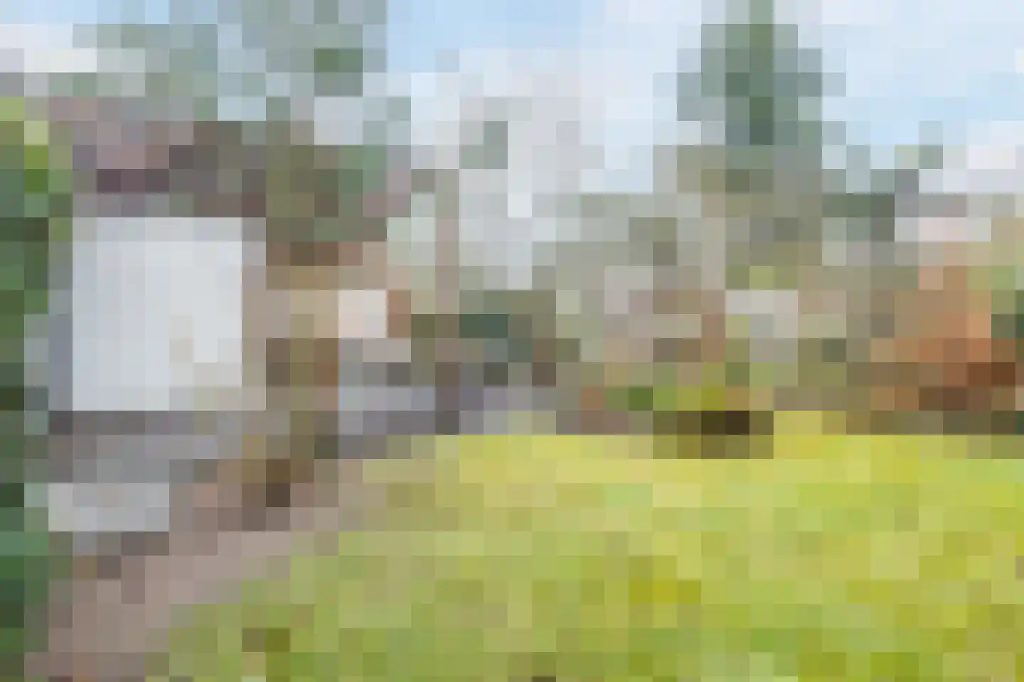 Immenweg 15 R 625 Lunteren thumbnail 31