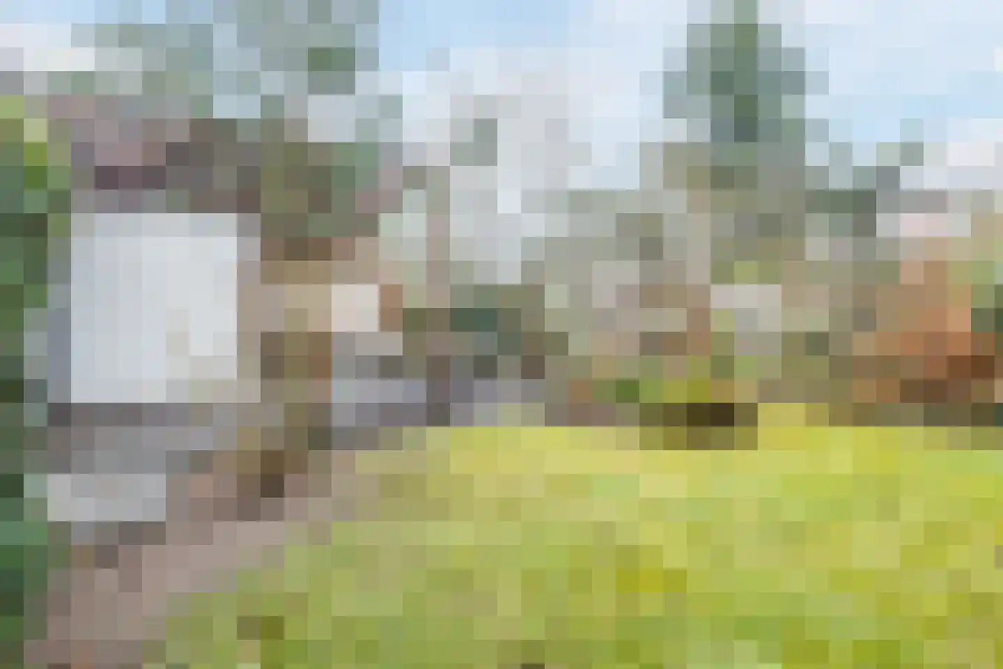 Immenweg 15 R 625 Lunteren thumbnail 31