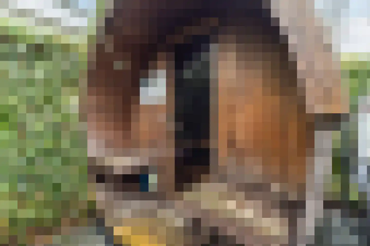 Immenweg 15 R 625 Lunteren thumbnail 32