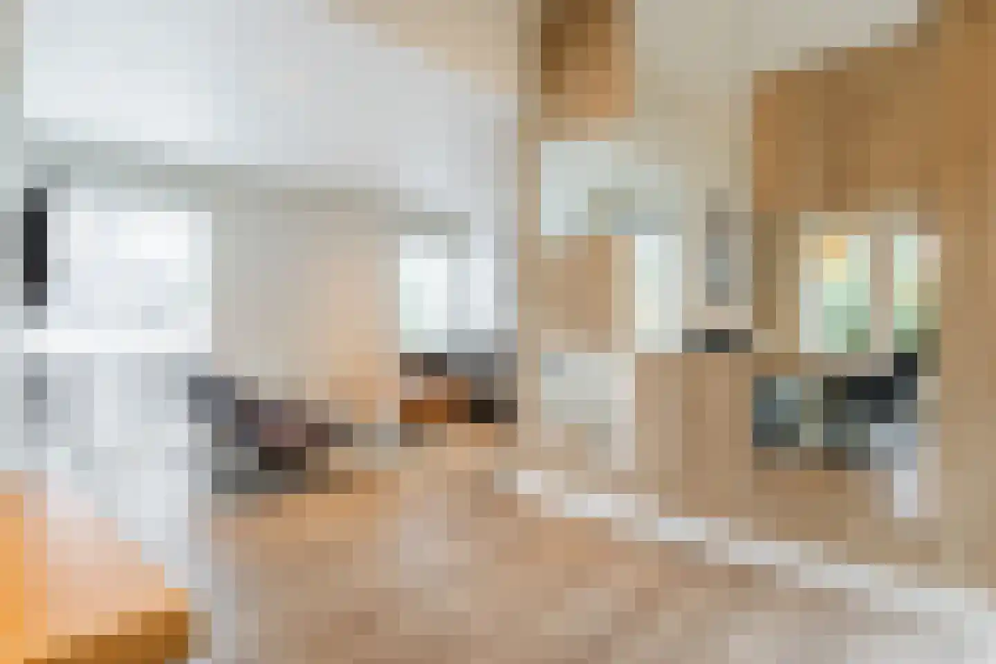 Immenweg 15 R 625 Lunteren thumbnail 4
