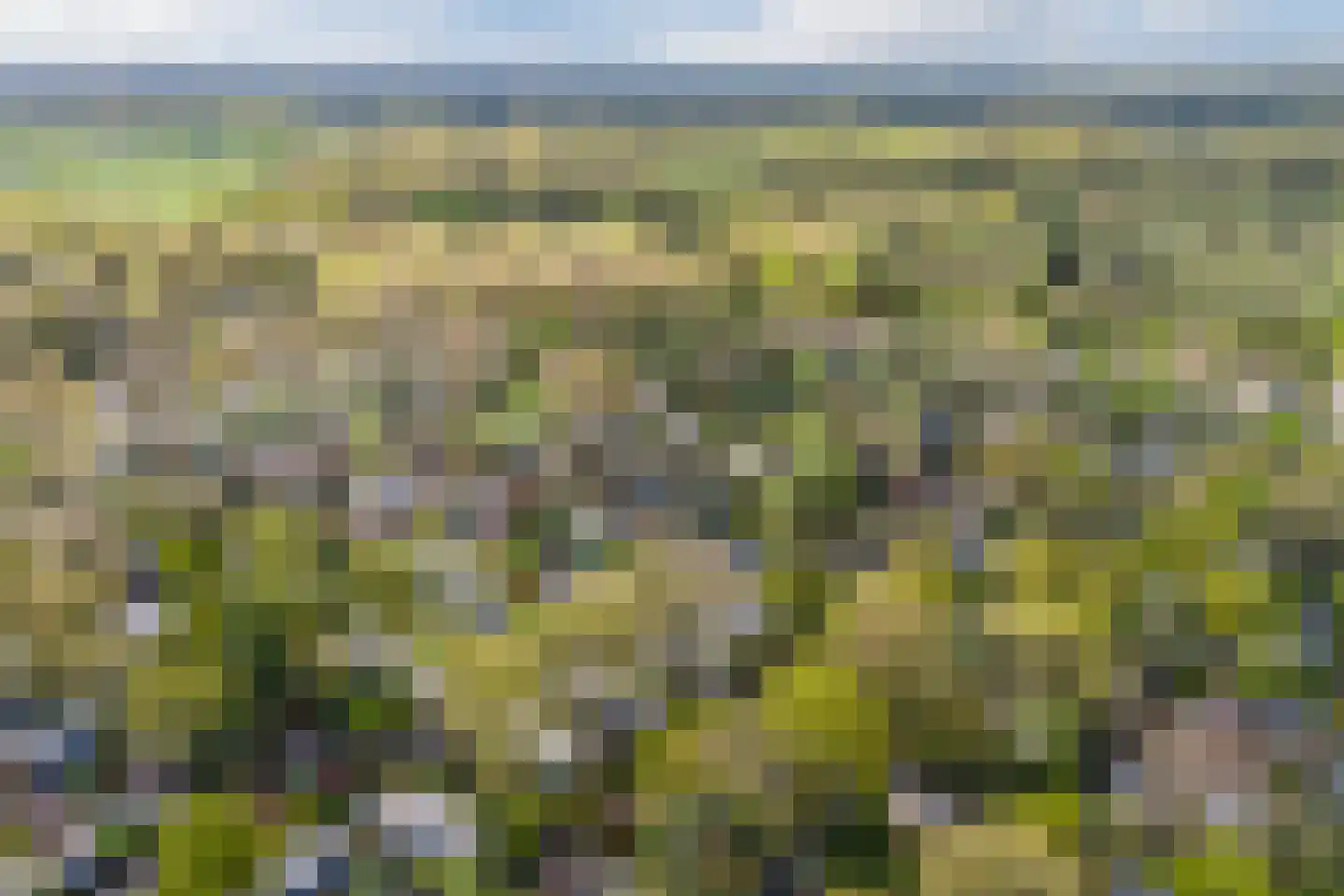 Immenweg 15 R 625 Lunteren thumbnail 46