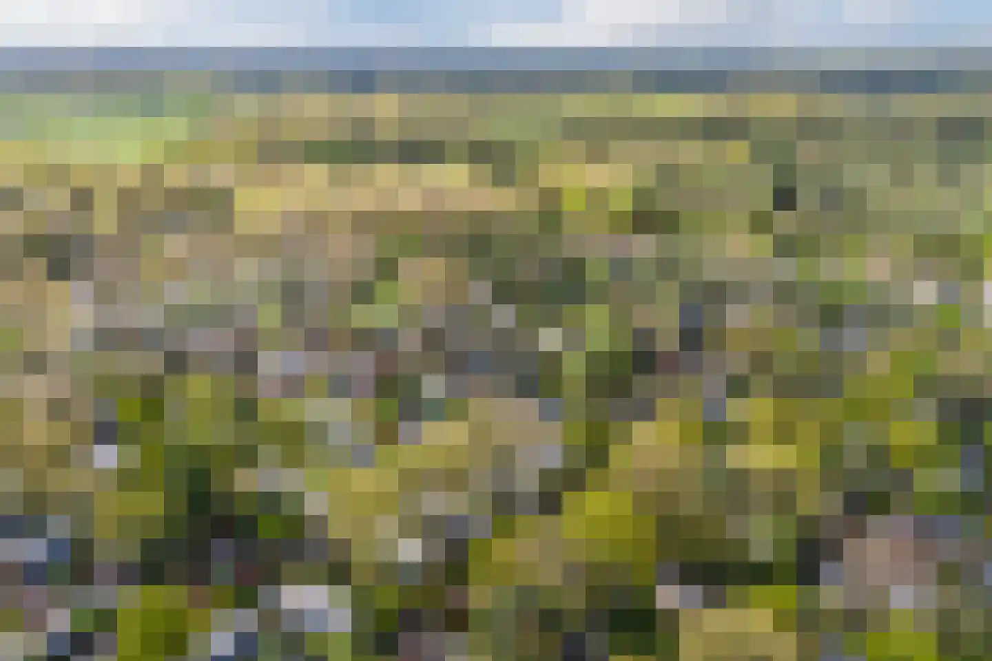 Immenweg 15 R 625 Lunteren thumbnail 46