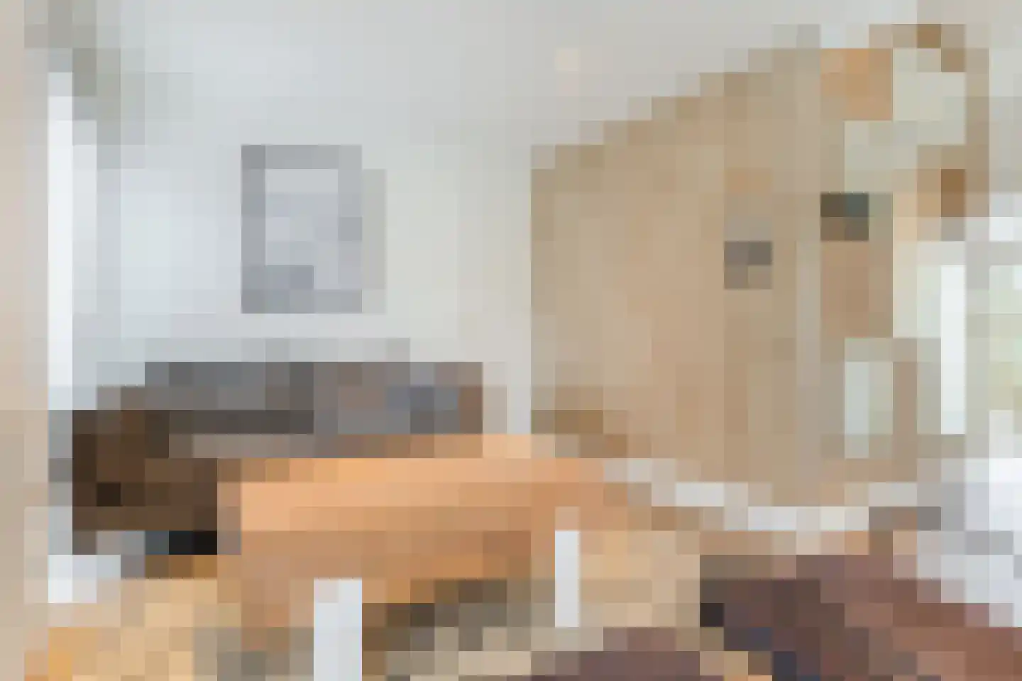 Immenweg 15 R 625 Lunteren thumbnail 7