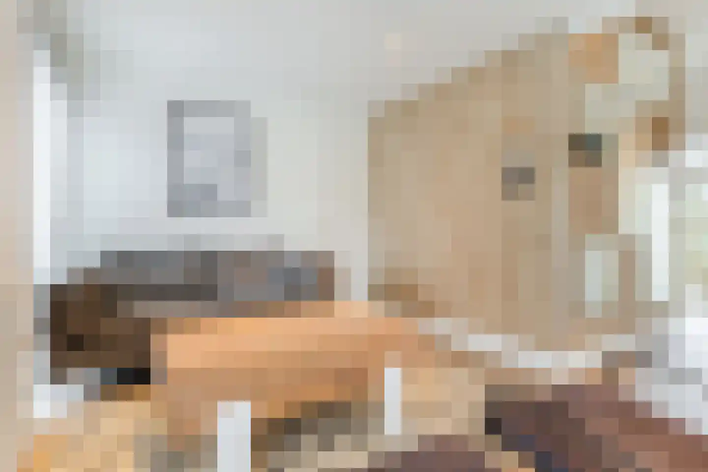 Immenweg 15 R 625 Lunteren thumbnail 8