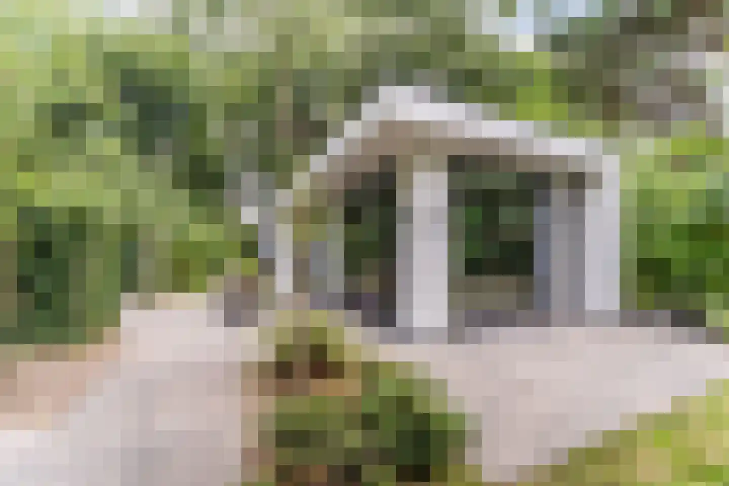 Immenweg 15 R 630 Lunteren thumbnail 22