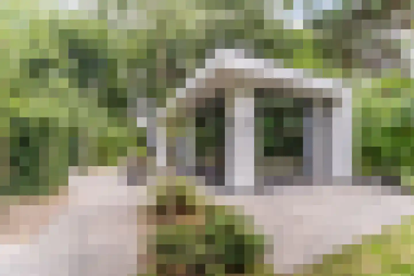 Immenweg 15 R 630 Lunteren thumbnail 23