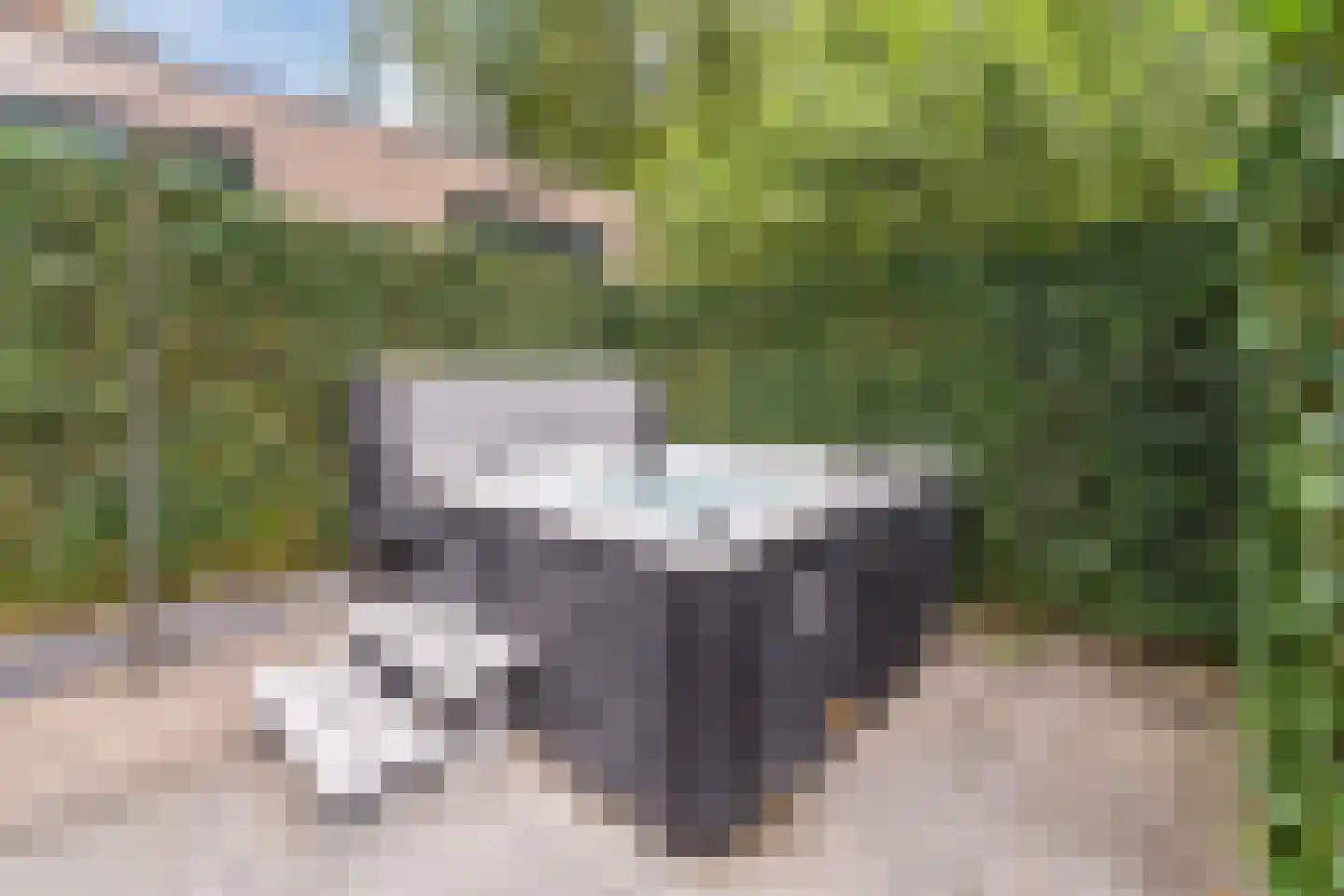 Immenweg 15 R 630 Lunteren thumbnail 29