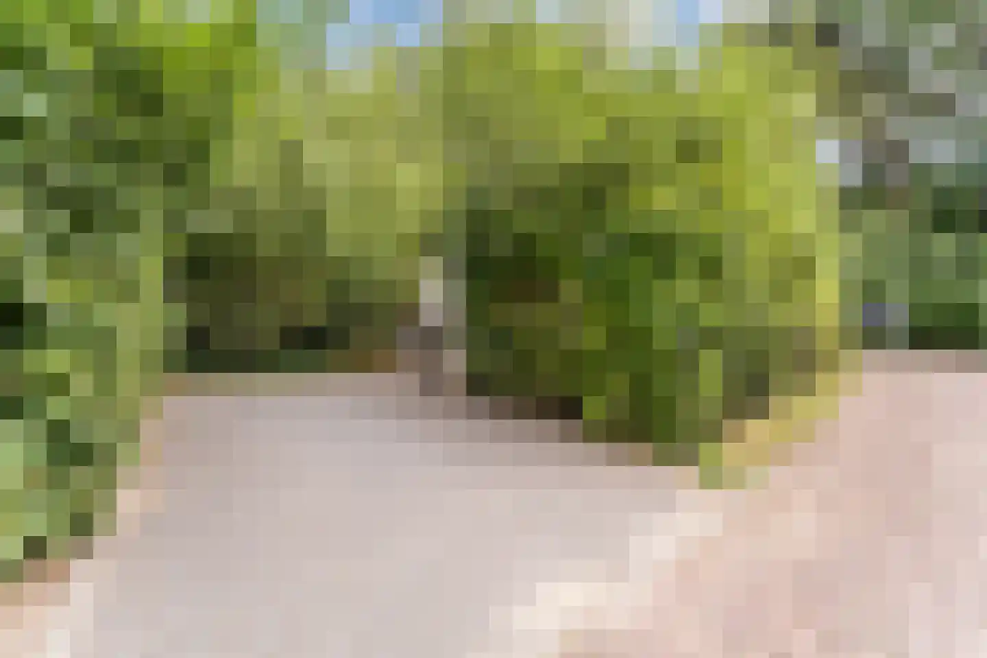 Immenweg 15 R 630 Lunteren thumbnail 31