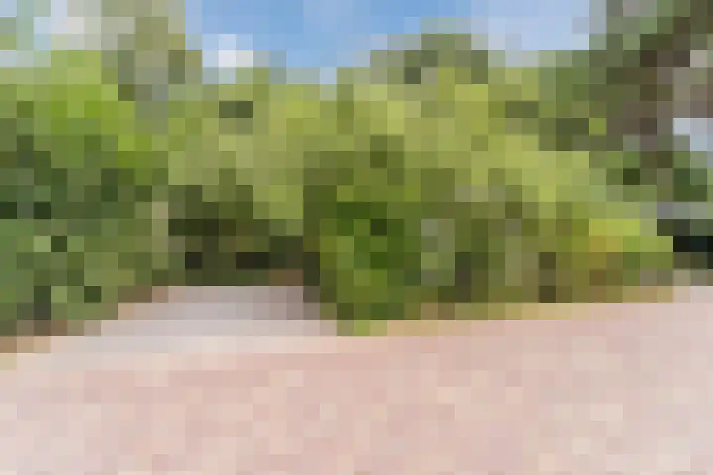 Immenweg 15 R 630 Lunteren thumbnail 32