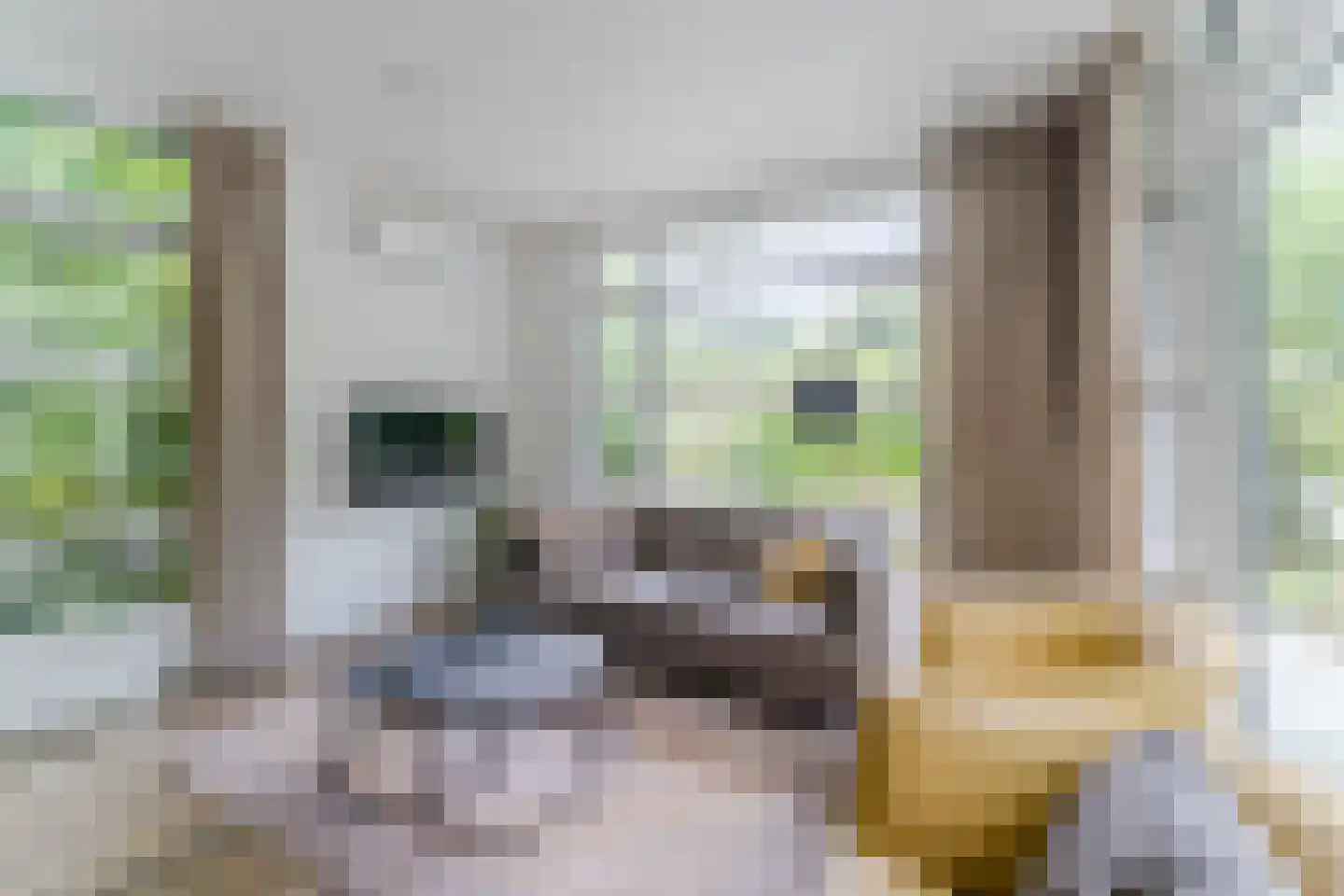 Immenweg 15 R 630 Lunteren thumbnail 6