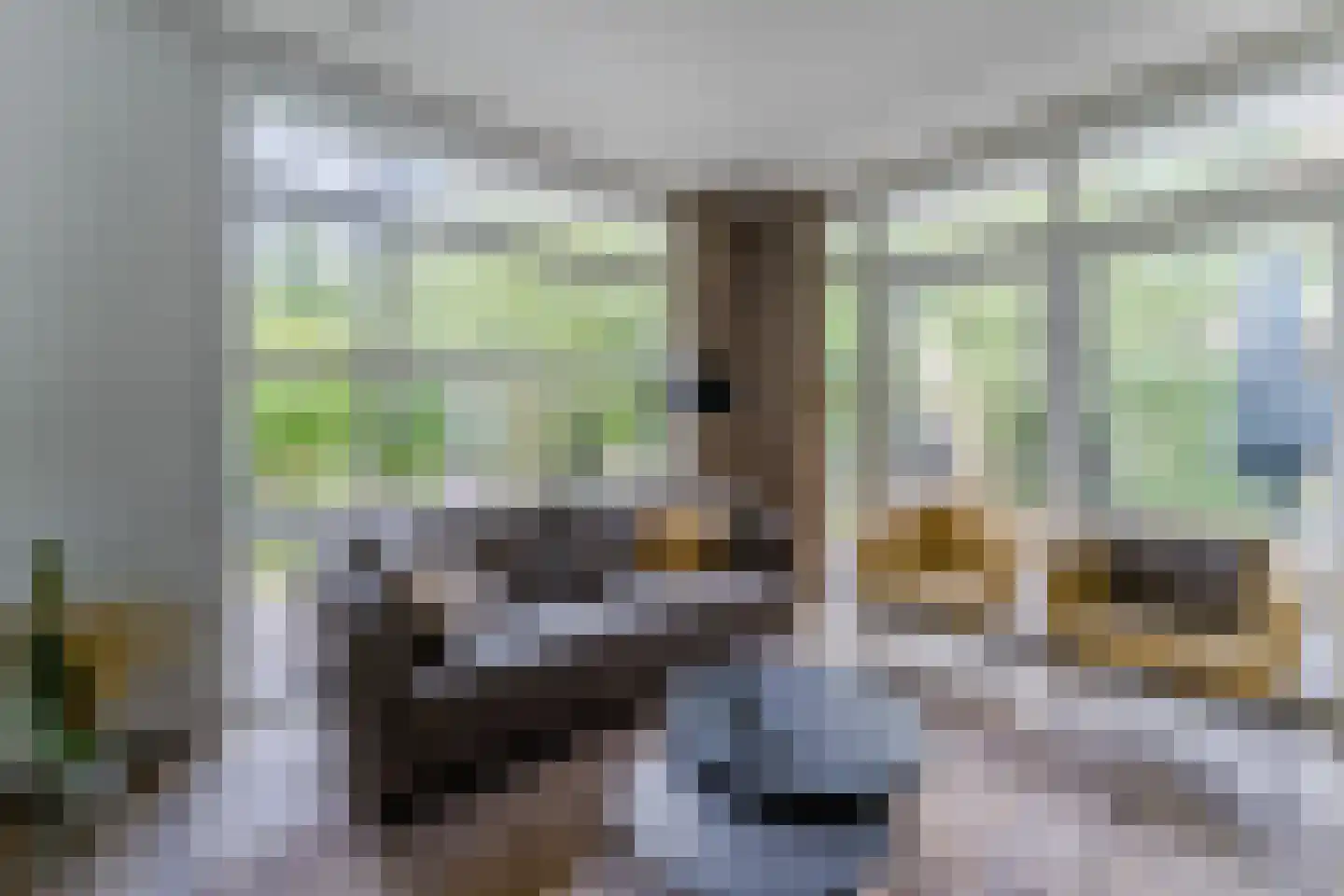 Immenweg 15 R 630 Lunteren thumbnail 7