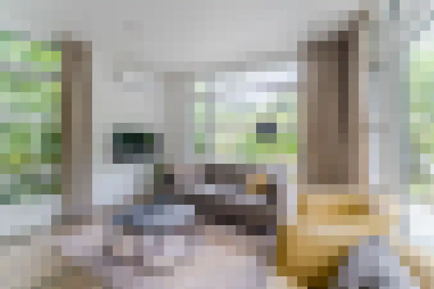 Immenweg 15 R 630 Lunteren thumbnail 7