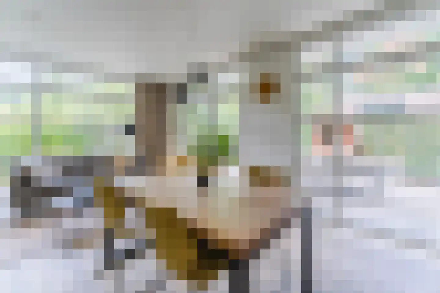 Immenweg 15 R 630 Lunteren thumbnail 8