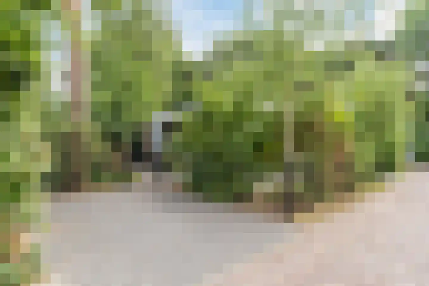Immenweg 15 R 631 Lunteren thumbnail 27