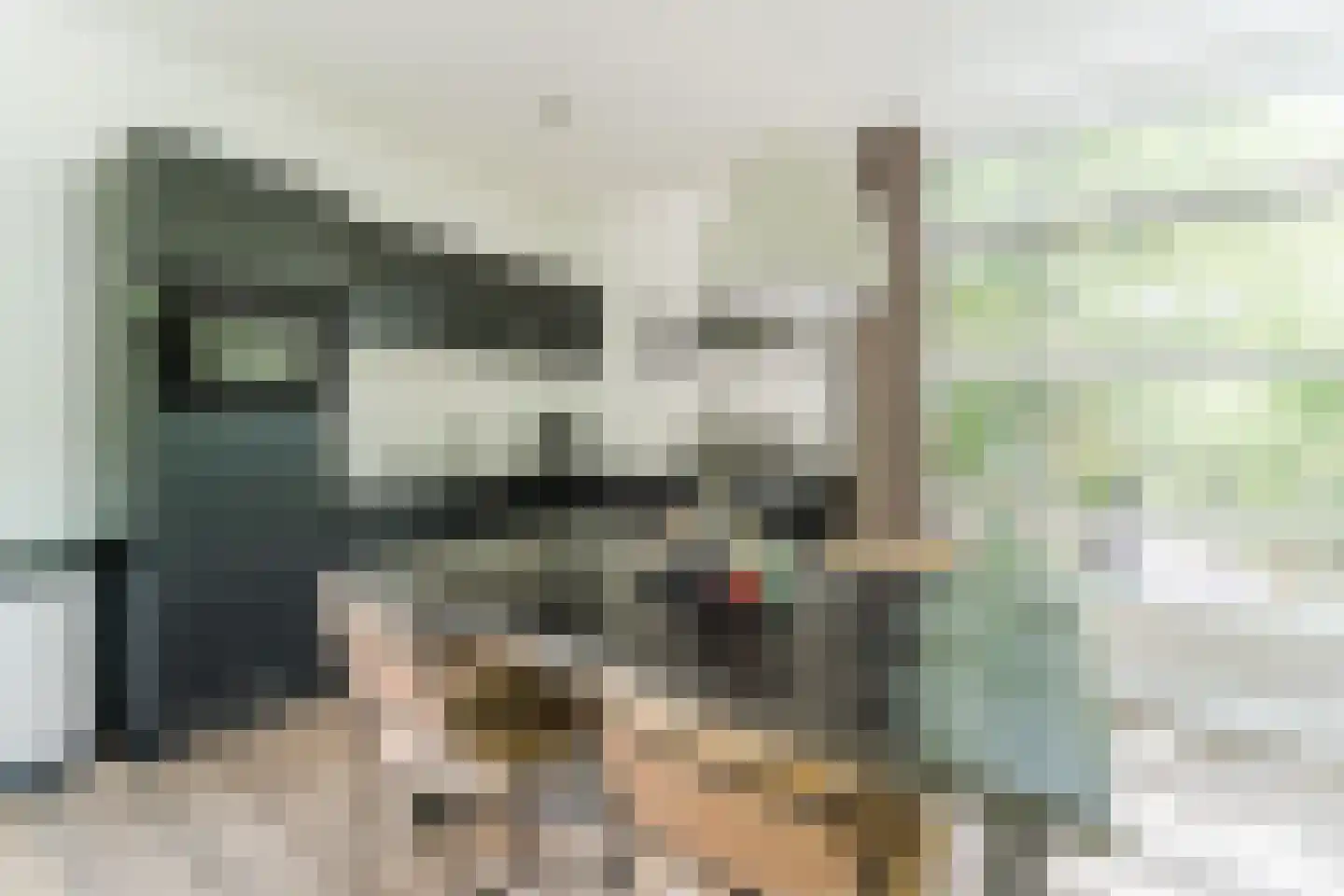 Immenweg 15 R 631 Lunteren thumbnail 8