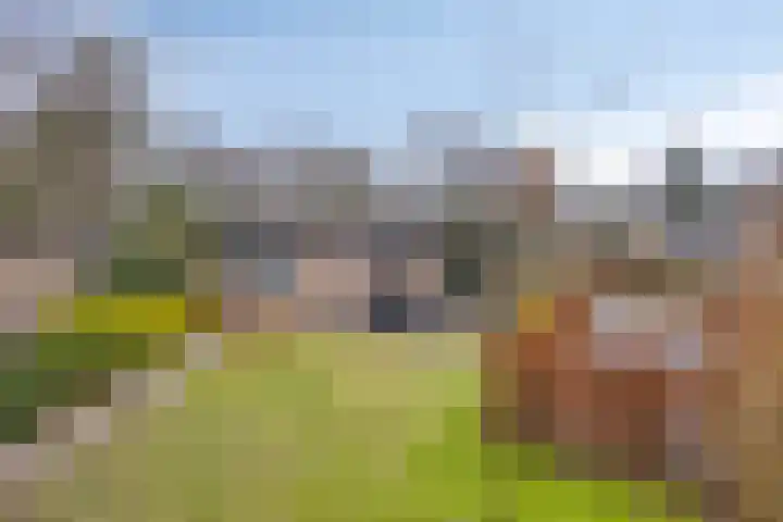 Immenweg 15 R 653 dans Lunteren