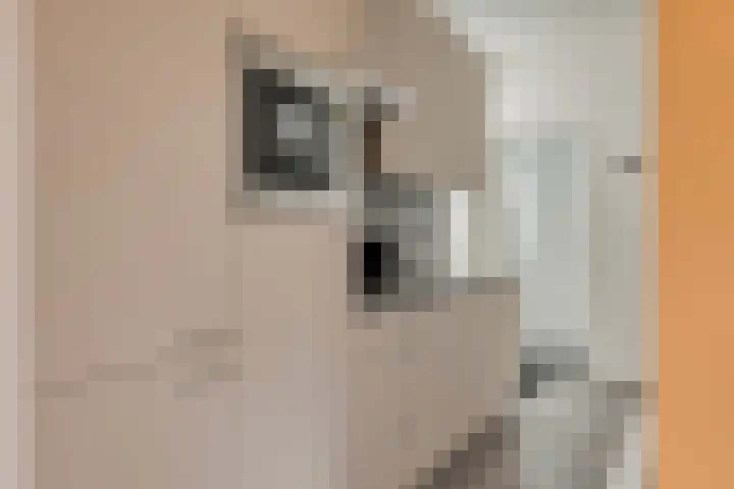Immenweg 15 R 653 Lunteren thumbnail 10